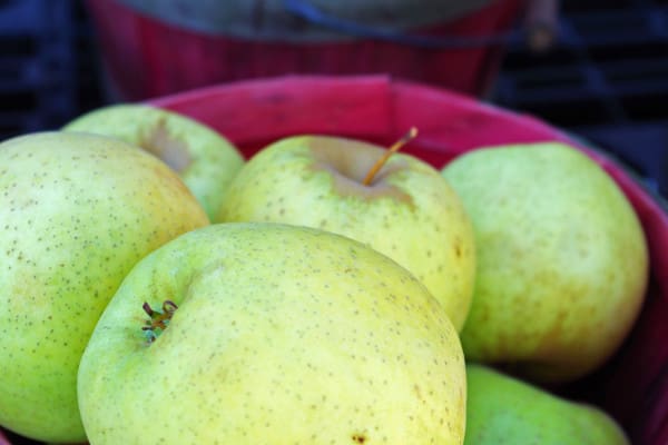 Apples at produce stand, Judsonia KS