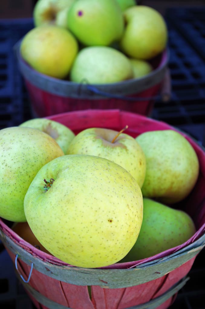 Apples at produce stand, Judsonia KS