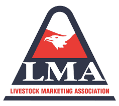 LMA