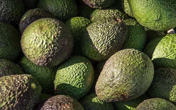 hass-avocado-1164173_640