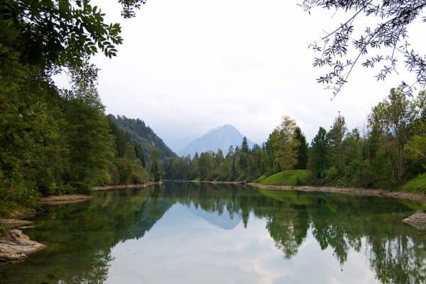 riparian-zone-1691528_960_720