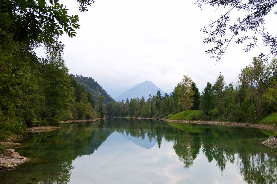 riparian-zone-1691528_960_720