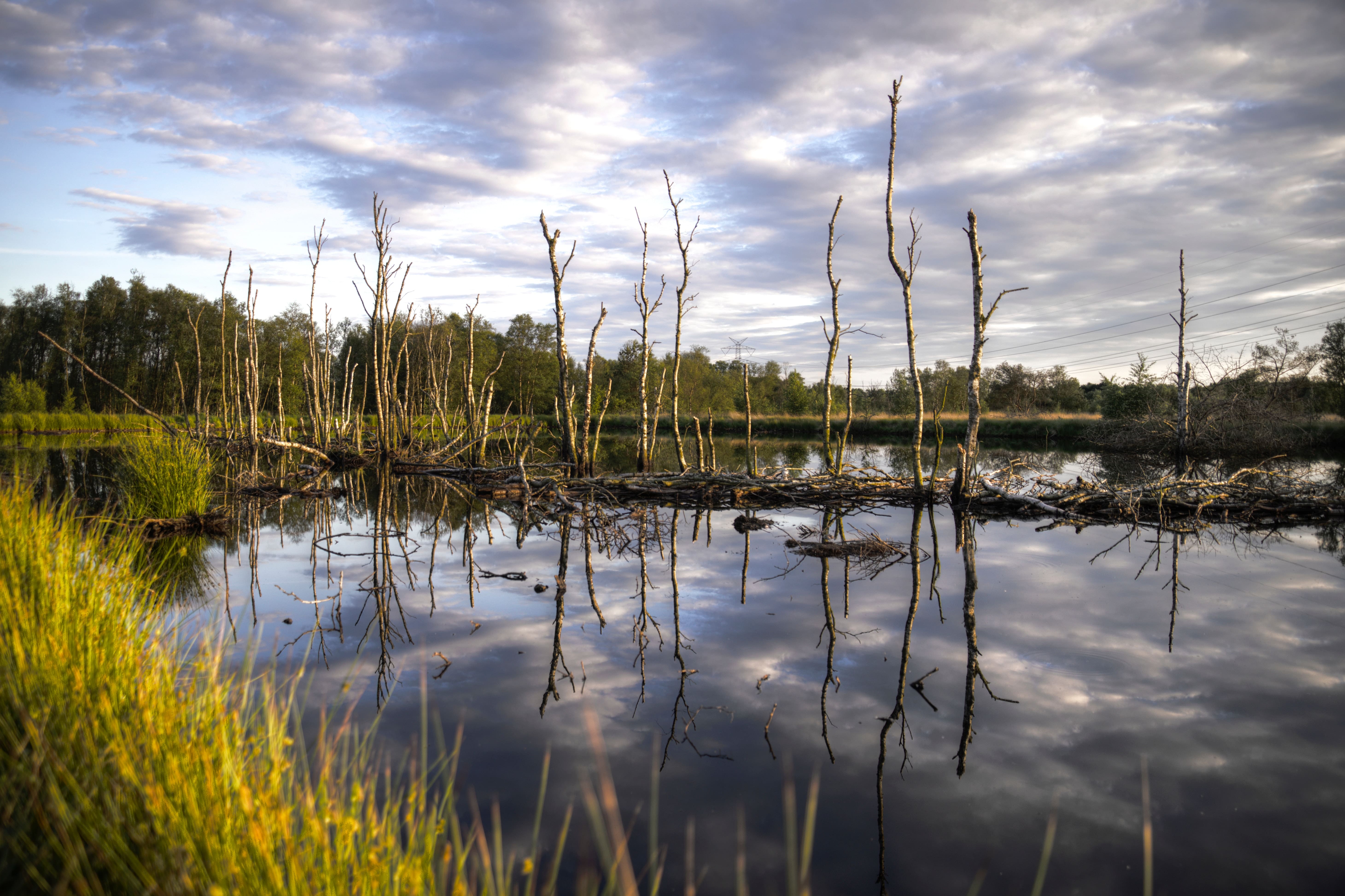clouds-dawn-evening-445190