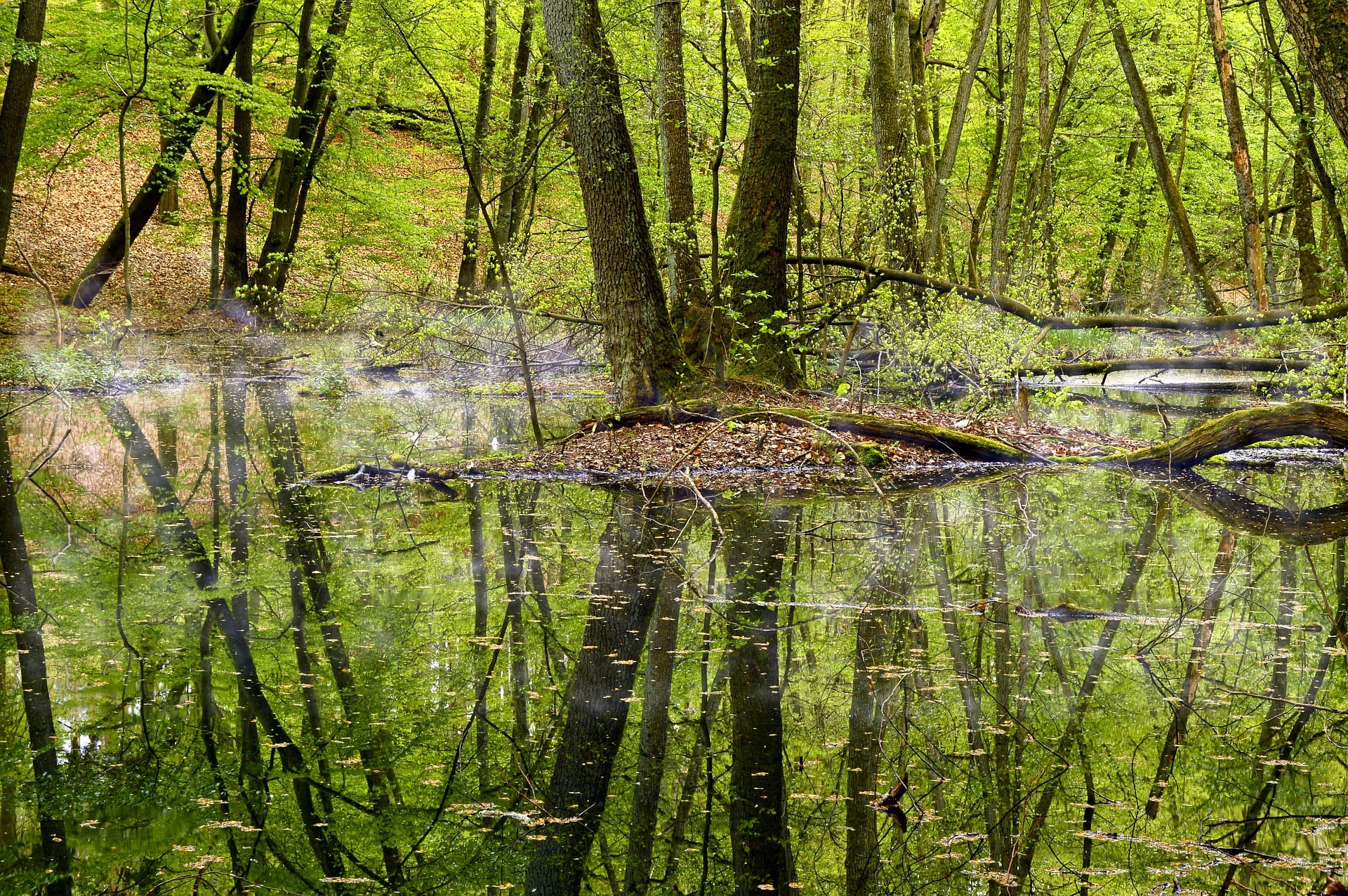 landscape-4166087_1920