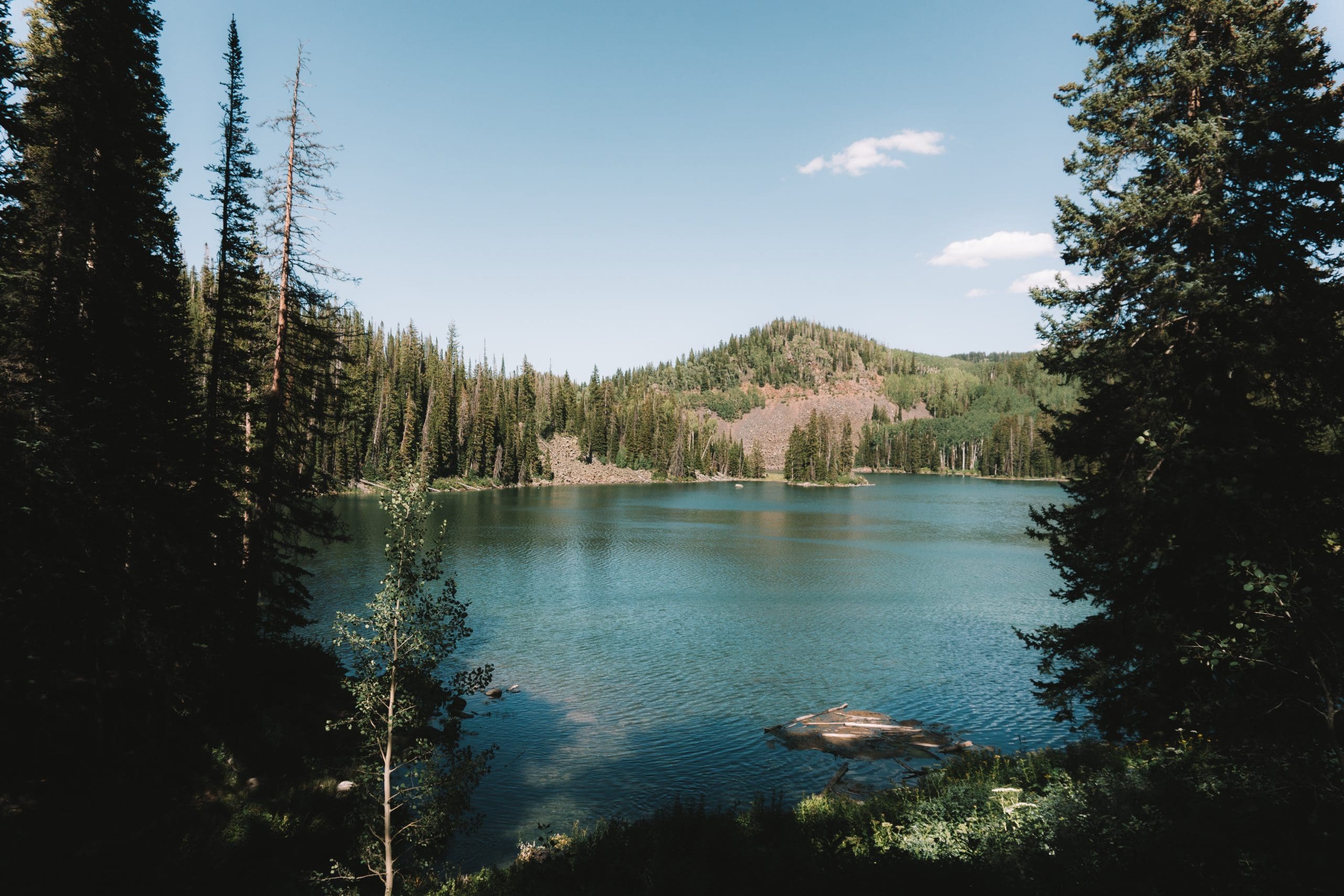 WOTUS Update: Injunction Issued As Lawsuits Progress