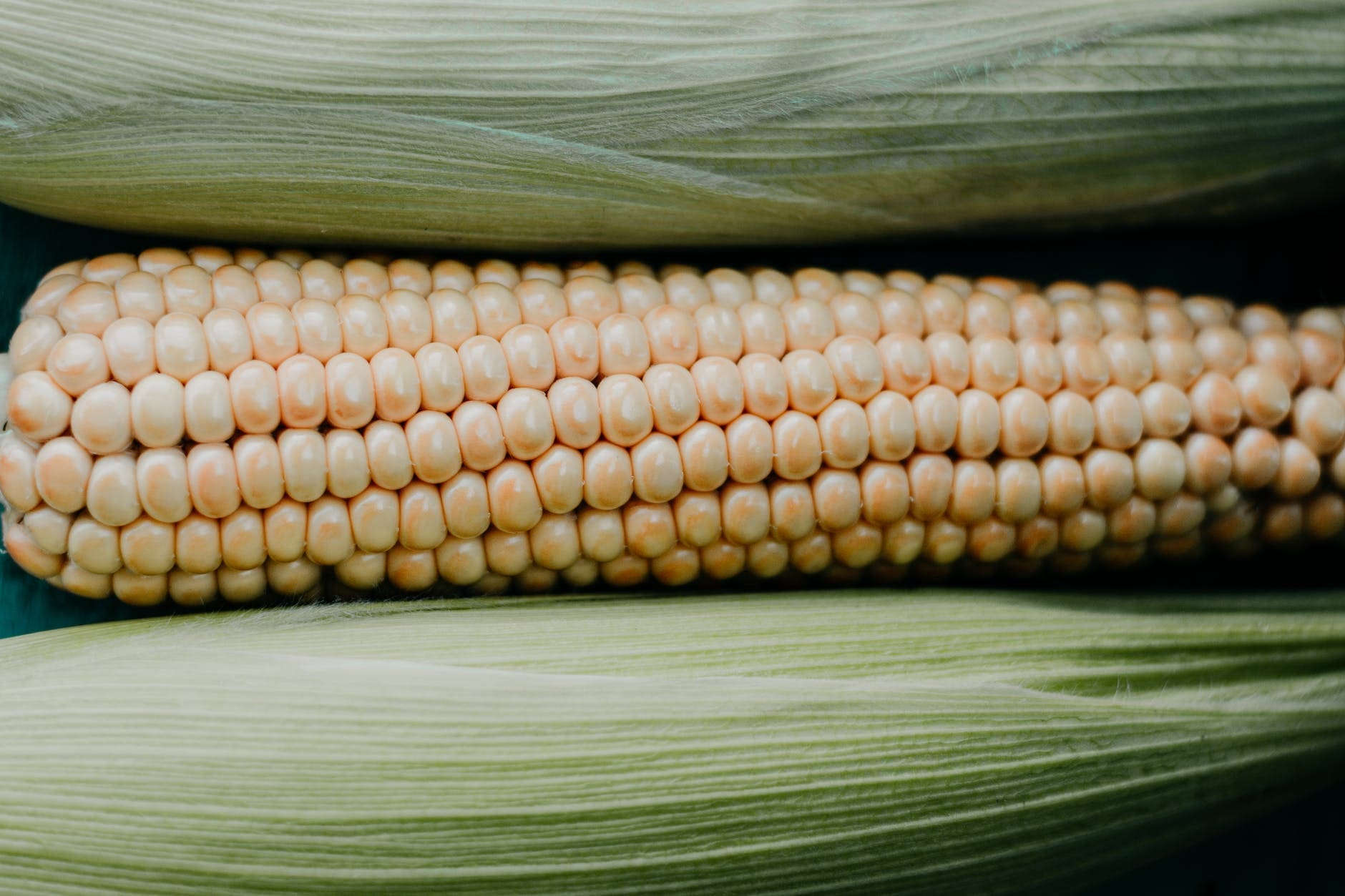 Biofuels Rules: EPA Guidance Stands