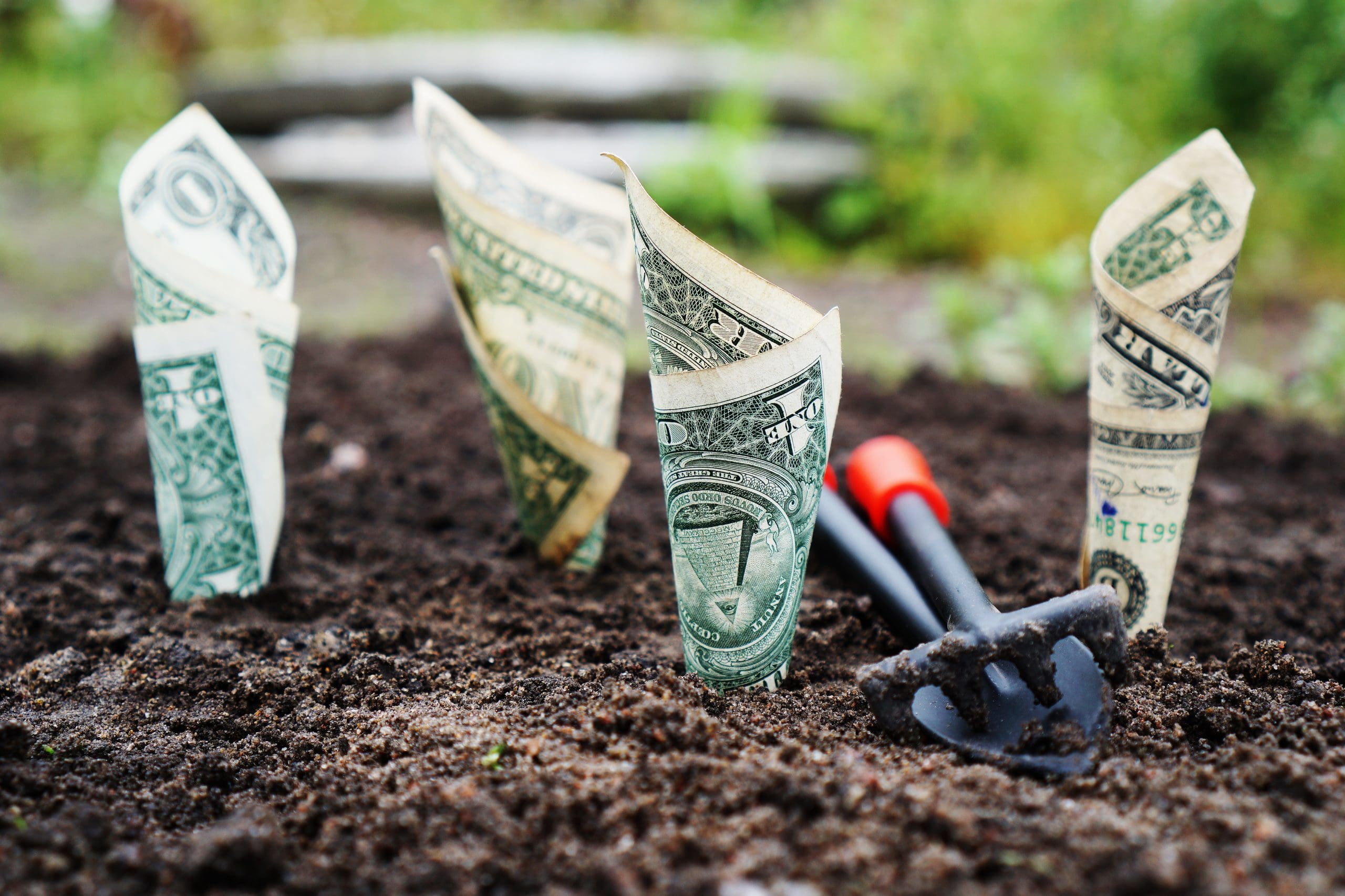 Show Me the Money: A Primer on Agricultural Lending