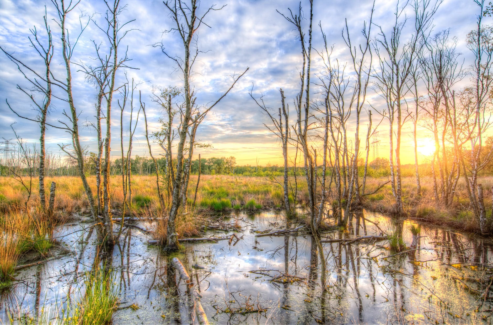Stuck in the Swamp? Overview of the Minimal Effect Exemption Under Swampbuster