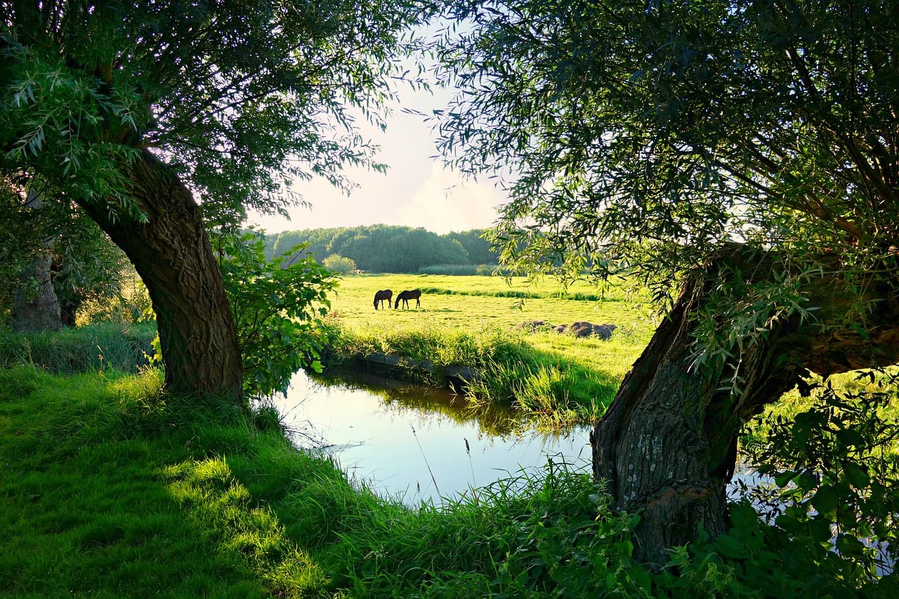 Conservation Clarified: USDA Issues New Rules For Conservation Provisions