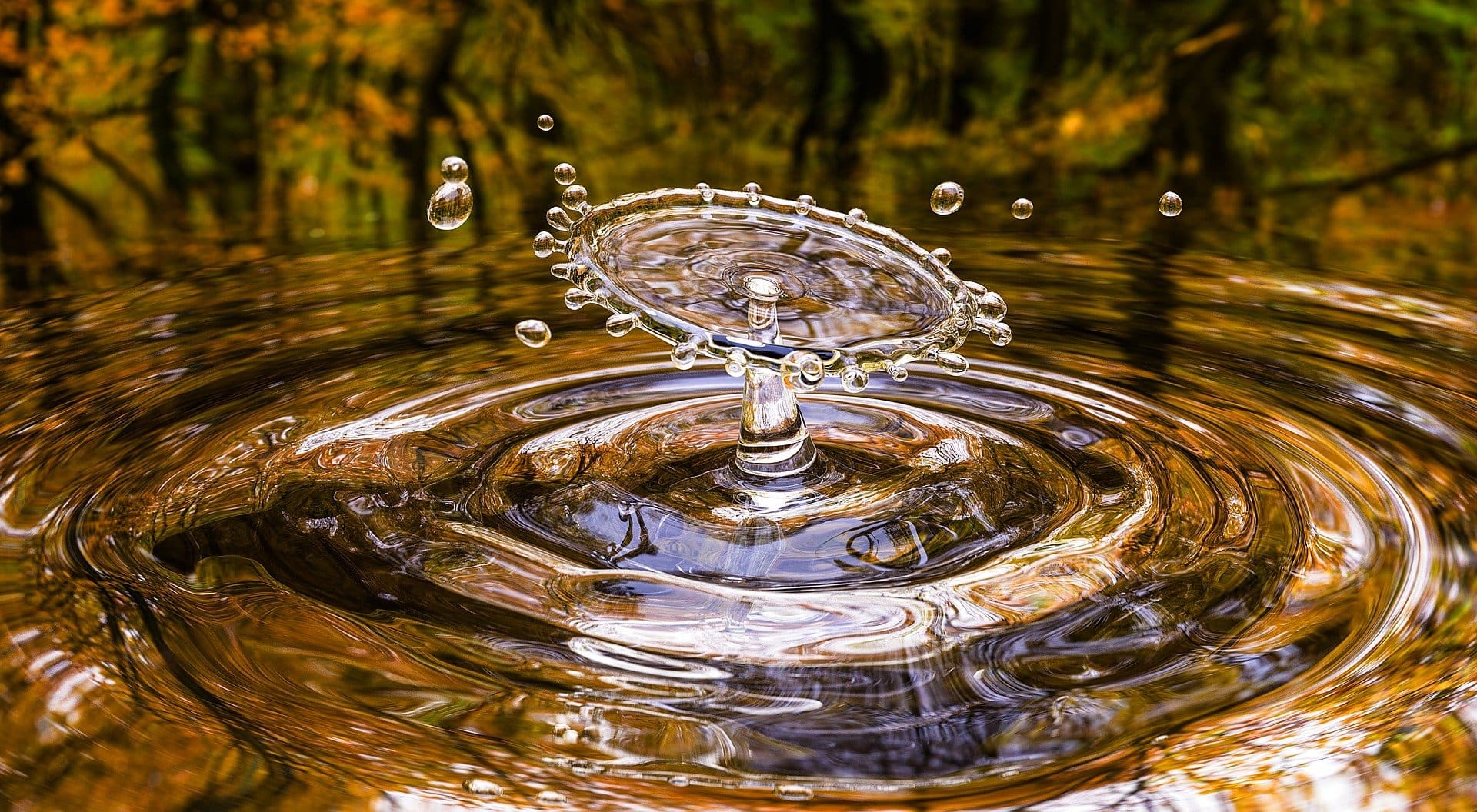 Making Waves: EPA Issues Draft of Proposed Guidance for “County of Maui” Case