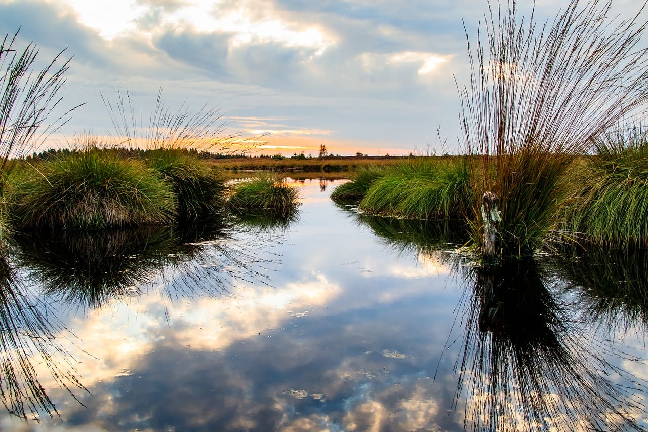The Clean Water Act, the Corps, & Section 404