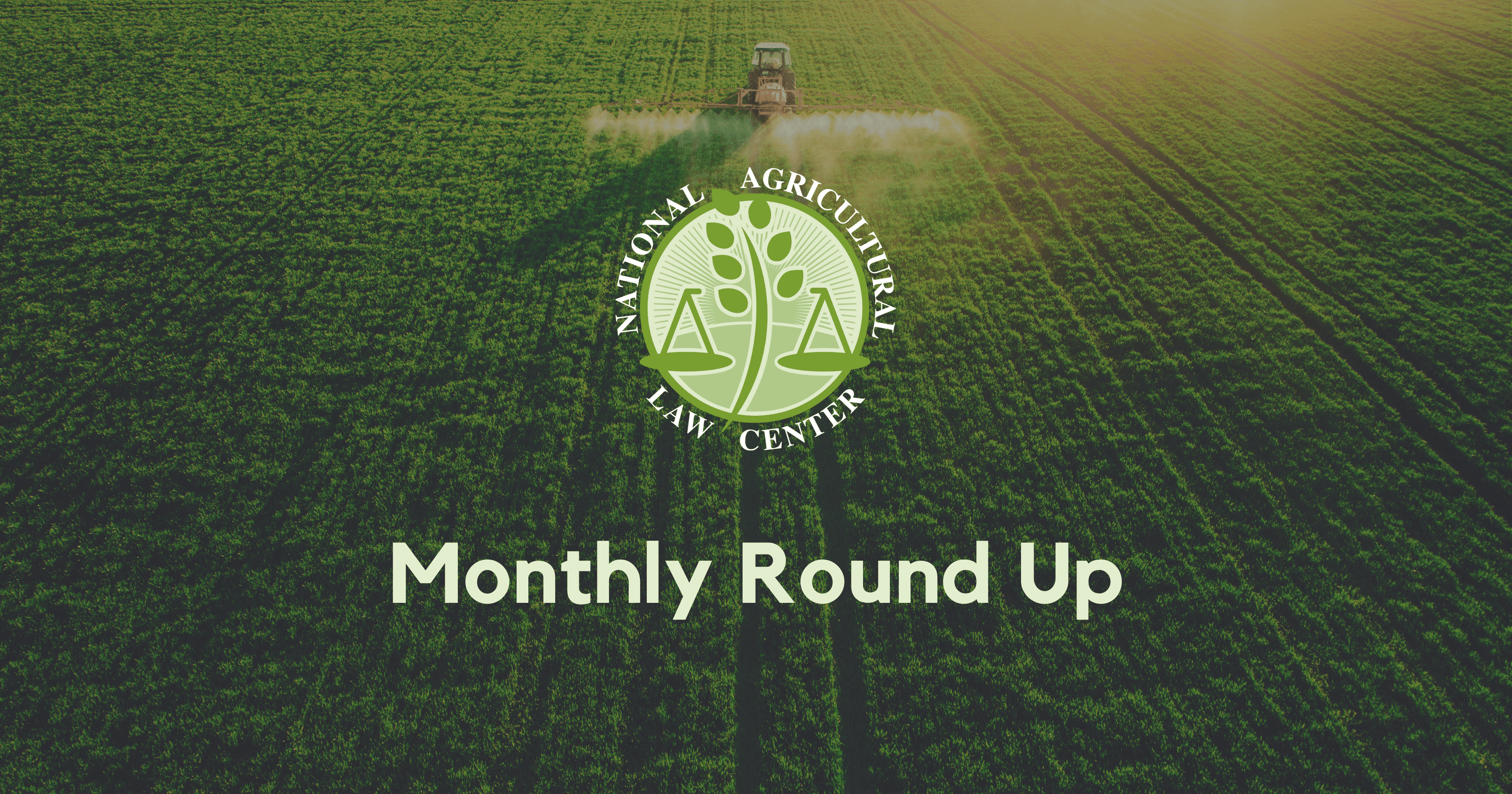 June Monthly Round Up