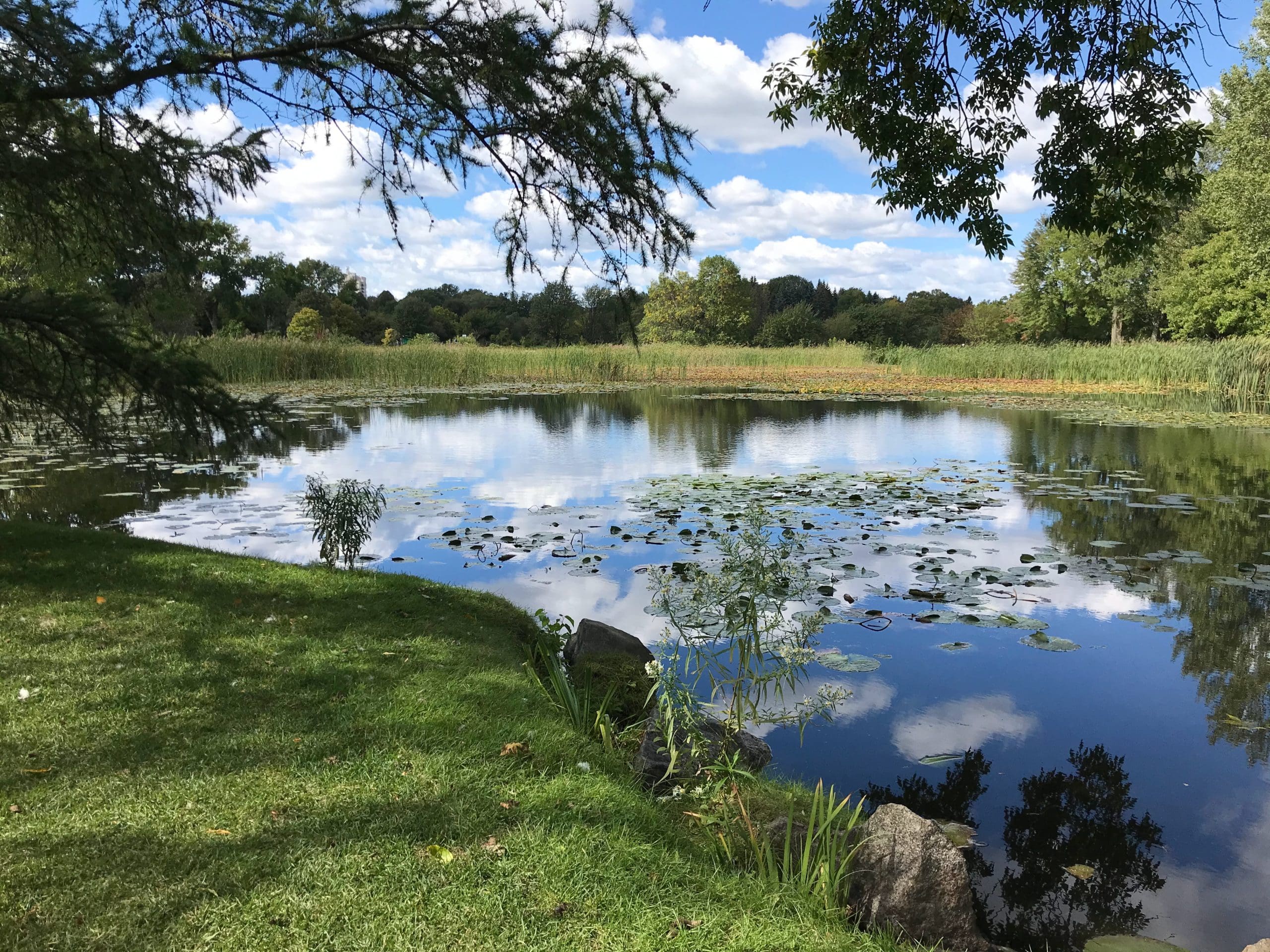 WOTUS Update: EPA Makes Announcement, Status Update for On-Going Lawsuits