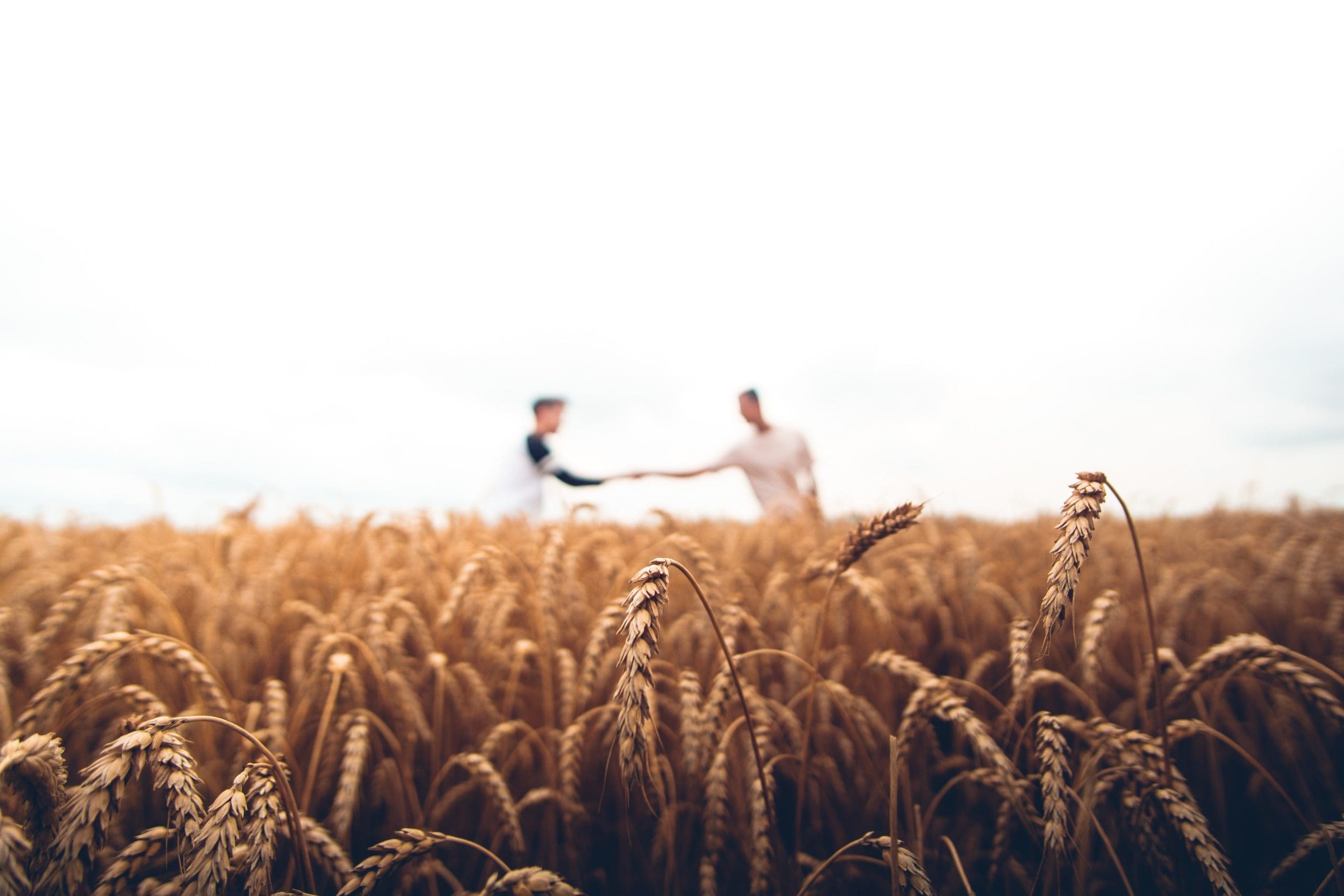 Georgia and Vermont Right to Farm Bills