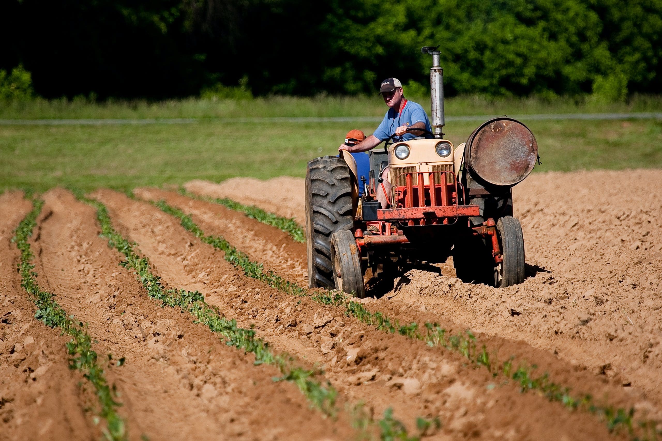Independent Contractors v. Employees