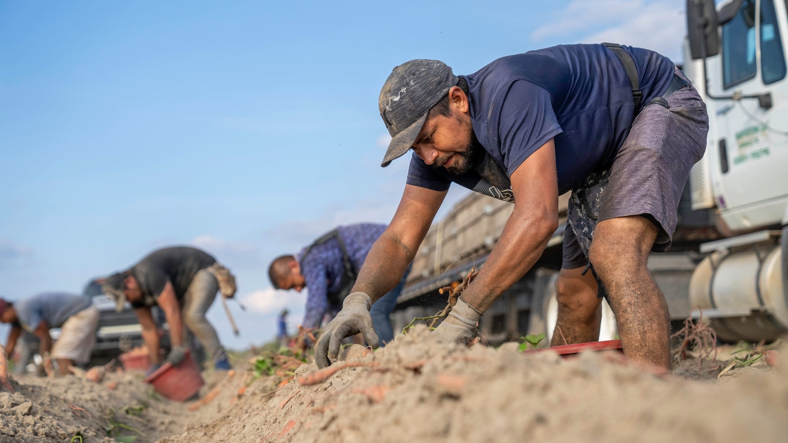 Collective Bargaining Rights for Farmworkers