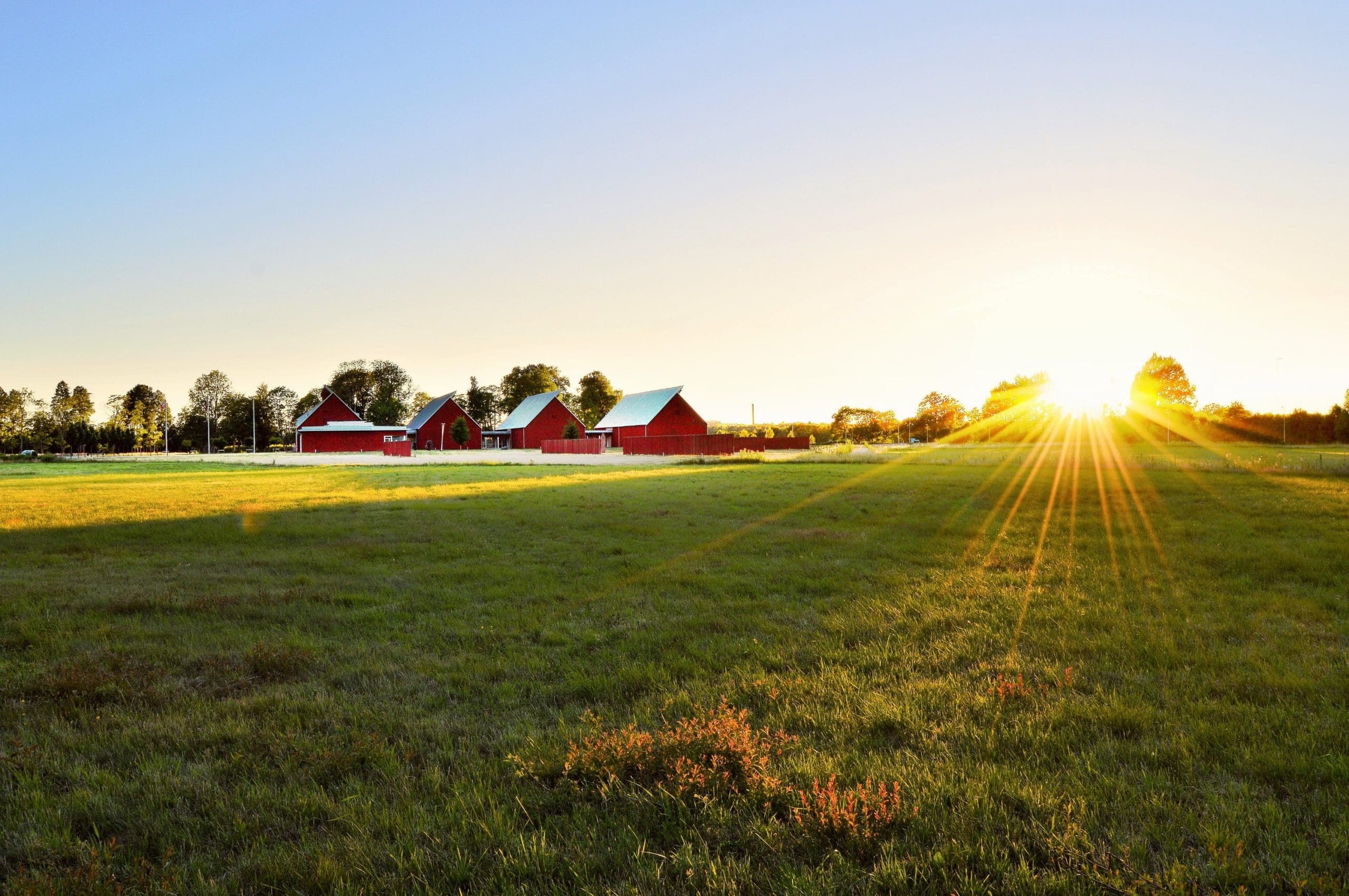 Building Blocks: Basics of the Agricultural Conservation Easement Program