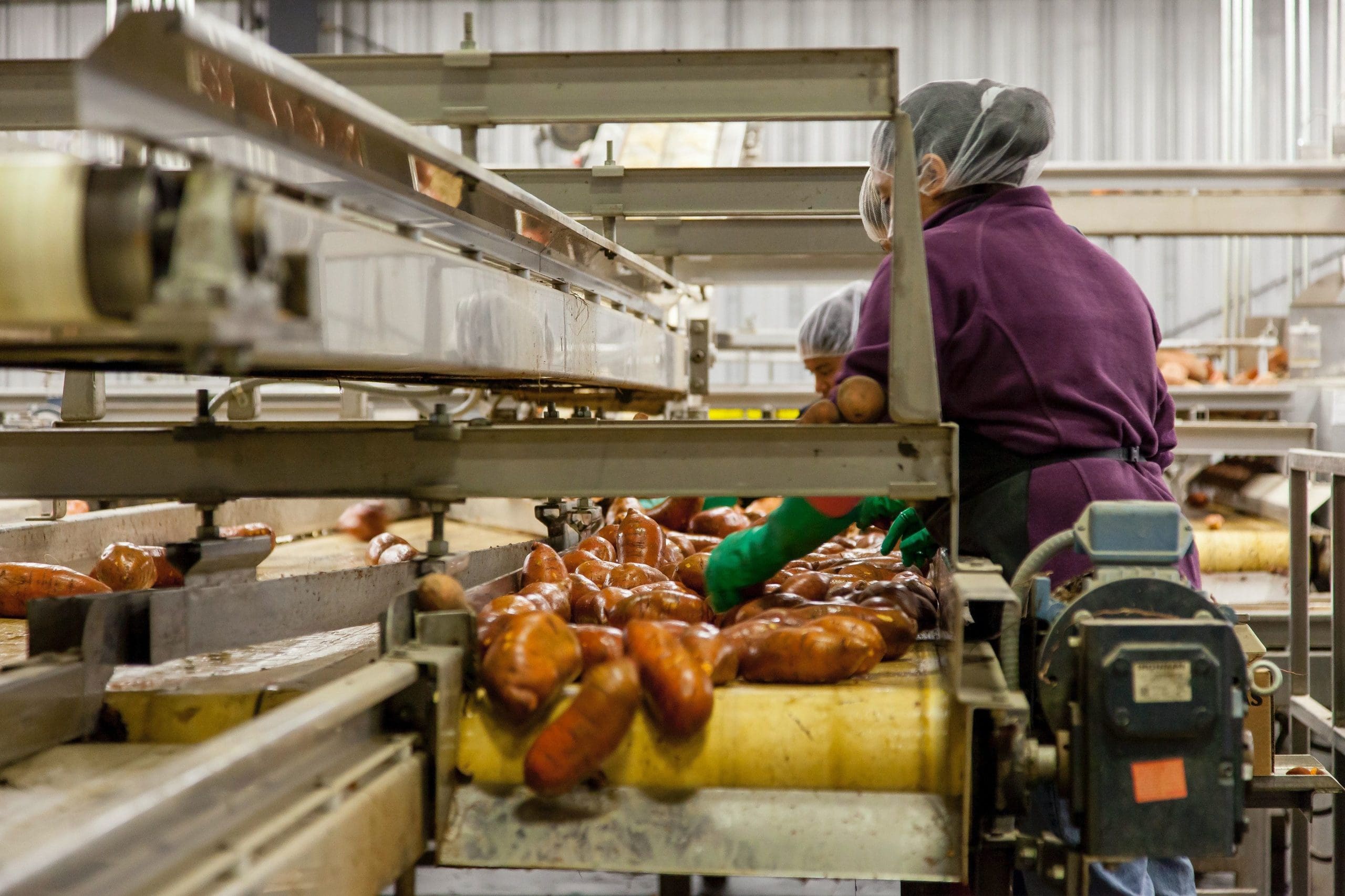 Focus on Food: FDA Publishes Food Traceability Final Rule