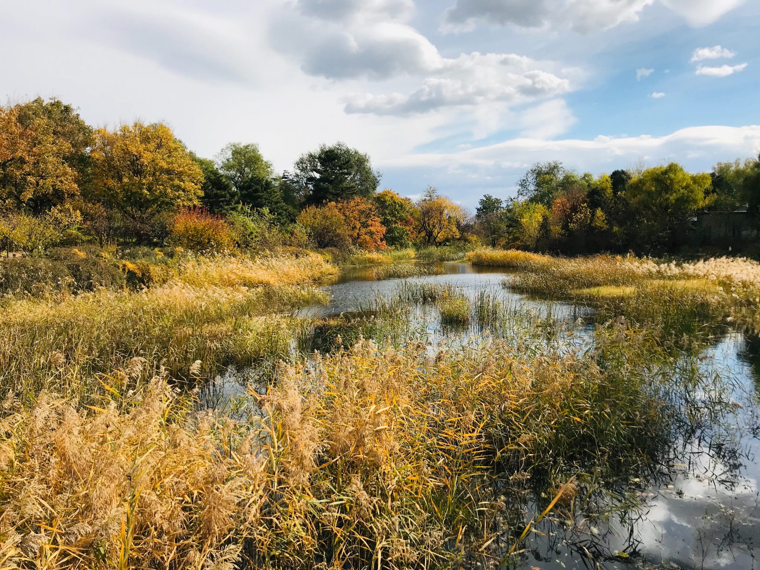 WOTUS Update: U.S. Supreme Court Revisits Wetlands Jurisdiction Under the CWA