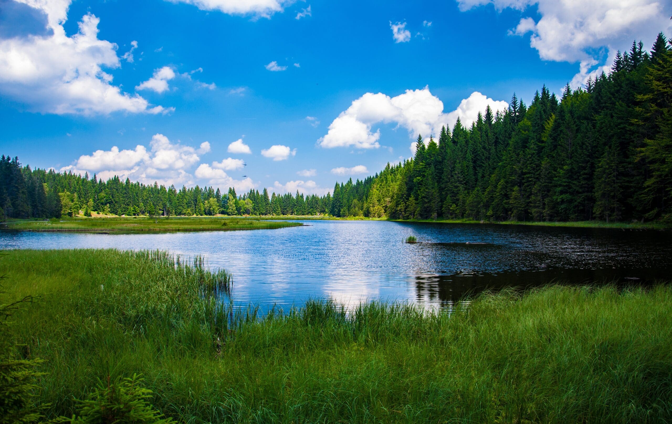 NALC news release: National Ag Law Center publishes new resource on navigating wetlands regulations