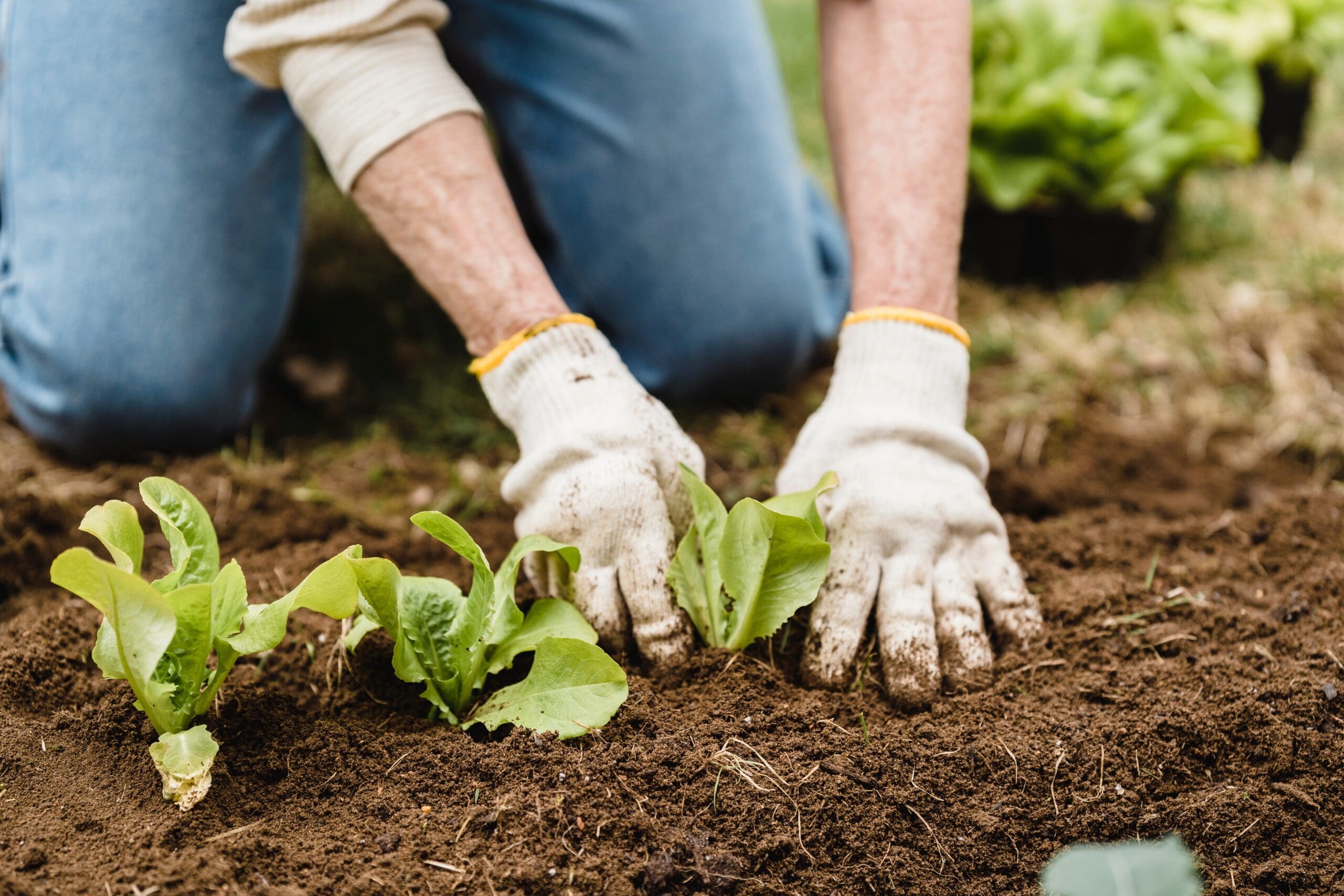DOL, DHS, and USDA Launch New Proposed Rules and Initiatives Affecting H-2 Programs