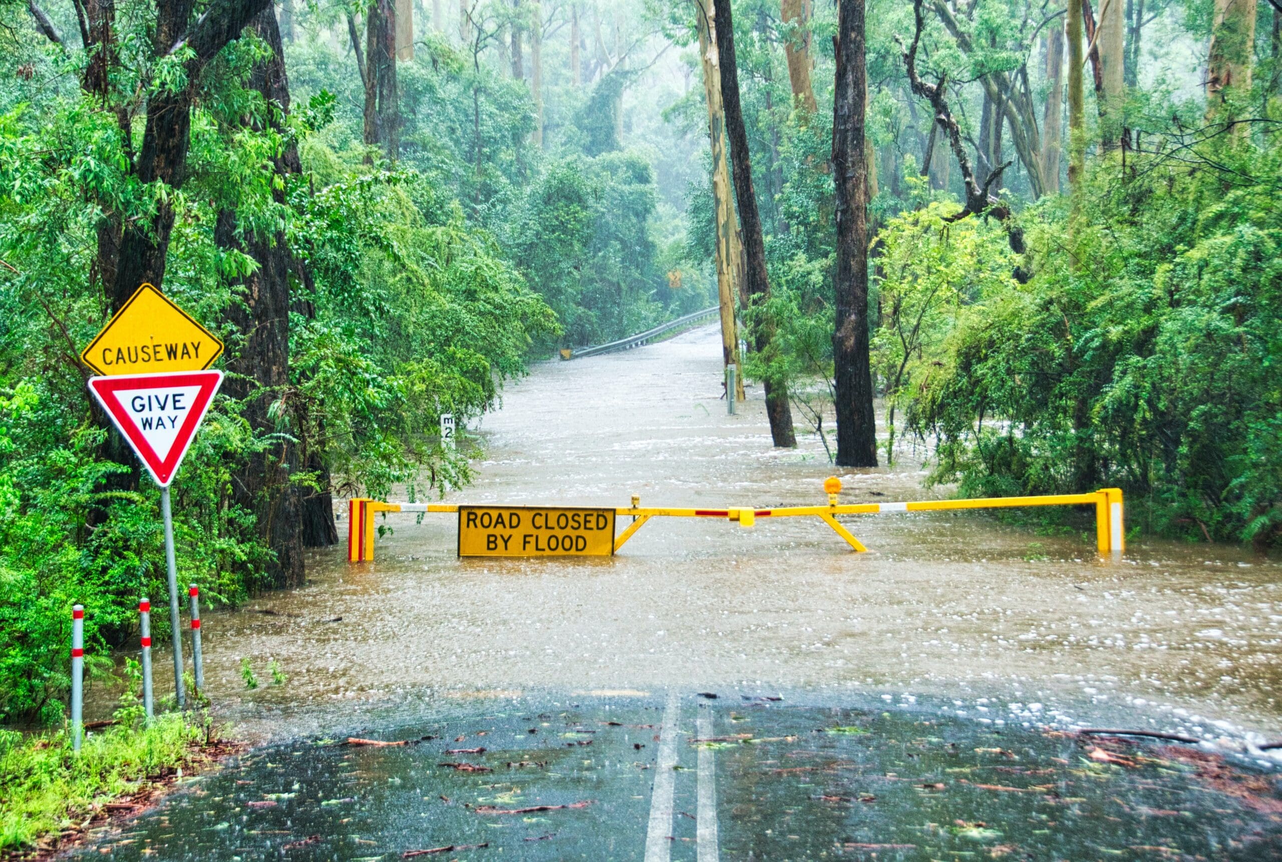 Flood Insurance for Agricultural Producers