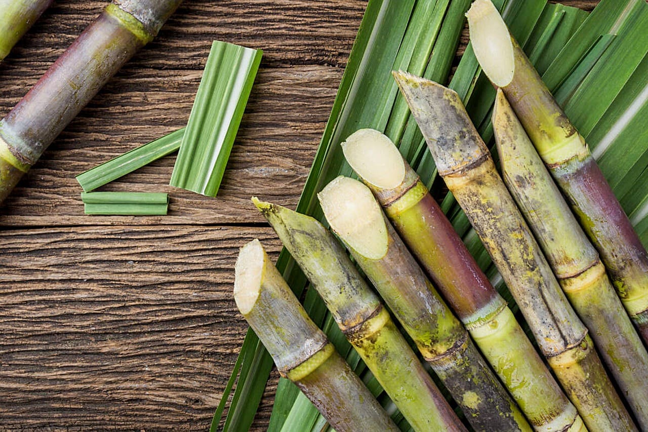 AMS Updating the National Bioengineered Food Disclosure Standard’s List of Bioengineered Foods