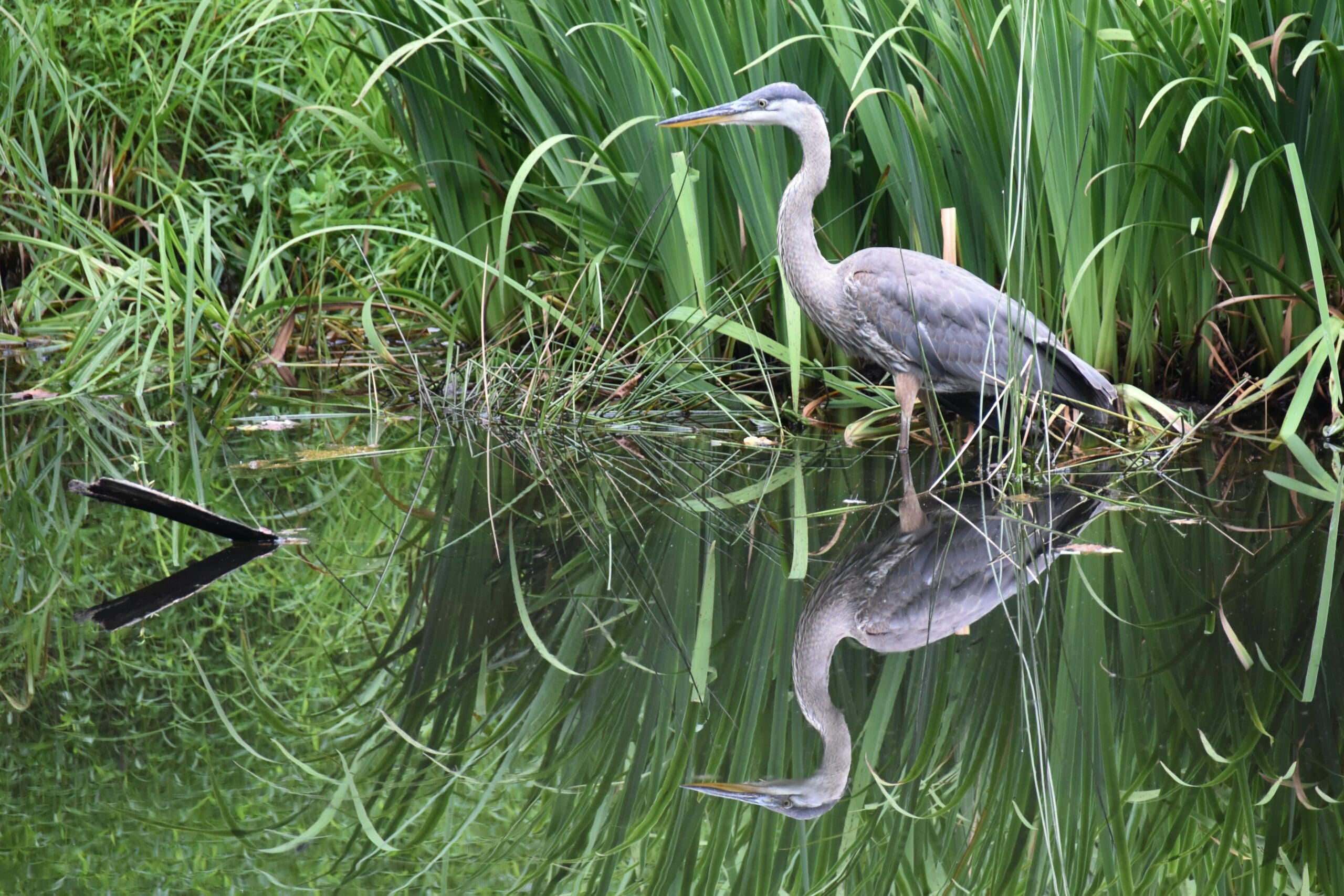 Federal Court Revokes Florida’s CWA Section 404 Permitting Authority
