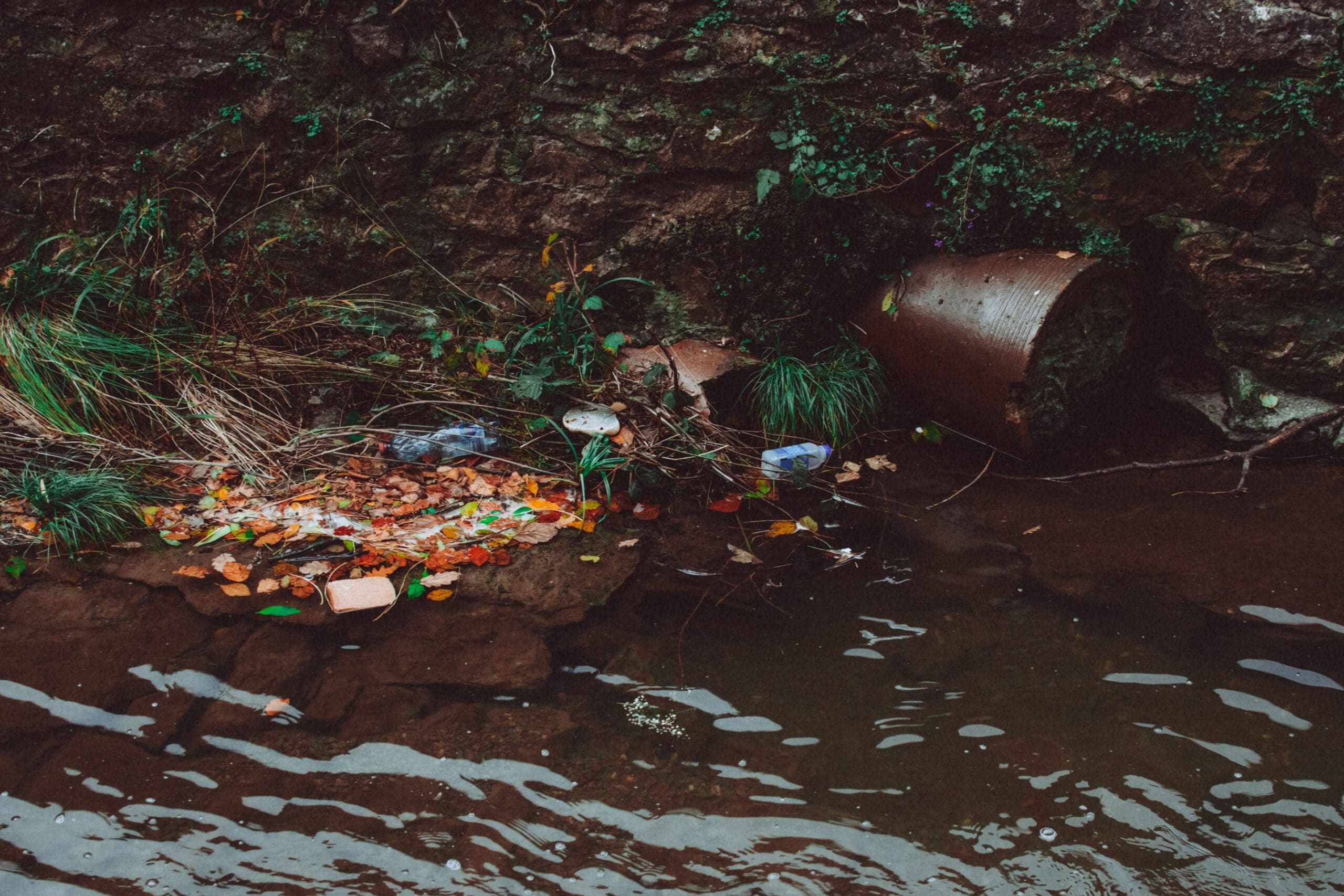 EPA Proposes Updates to Effluent Limitations for Meat and Poultry Processors