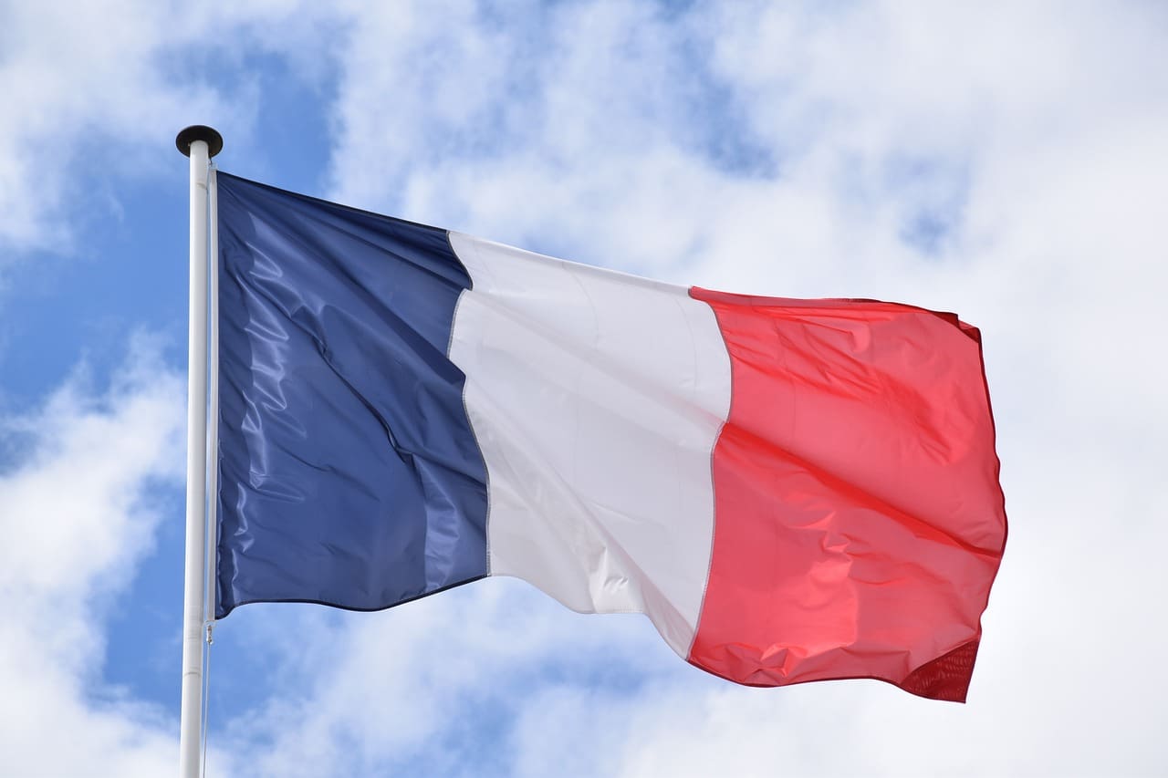 France takes up plant protein labeling and cell-cultured meat