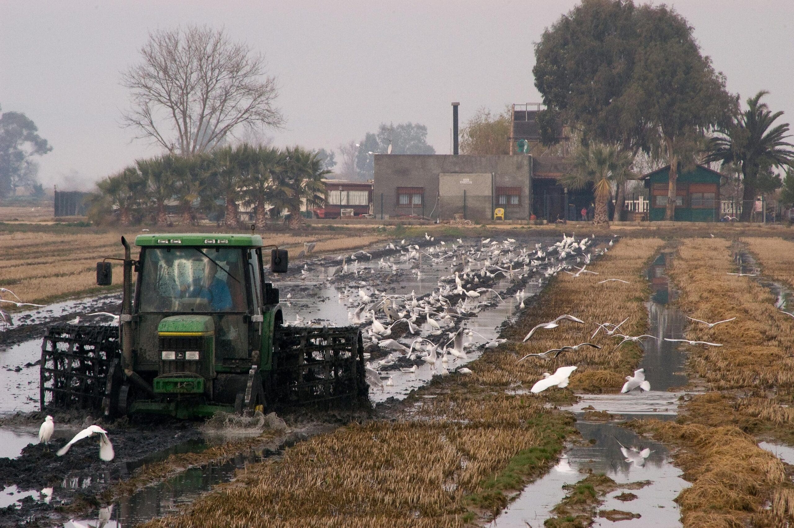 Supreme Court Issues Ruling in Texas Landowners’ 5th Amendment Takings Clause Case