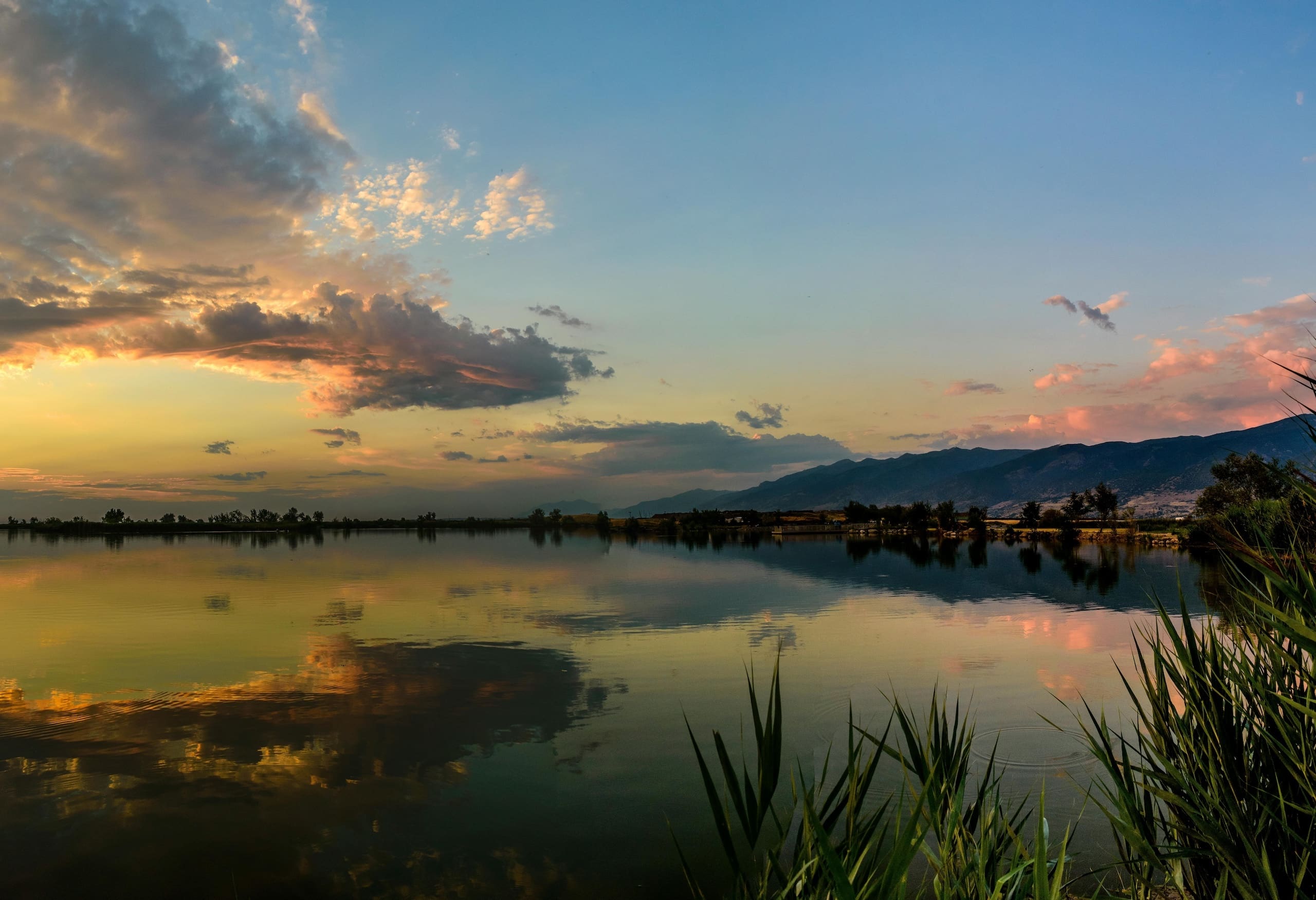 NALC news release: Legal experts to explore Western water markets during NALC webinar
