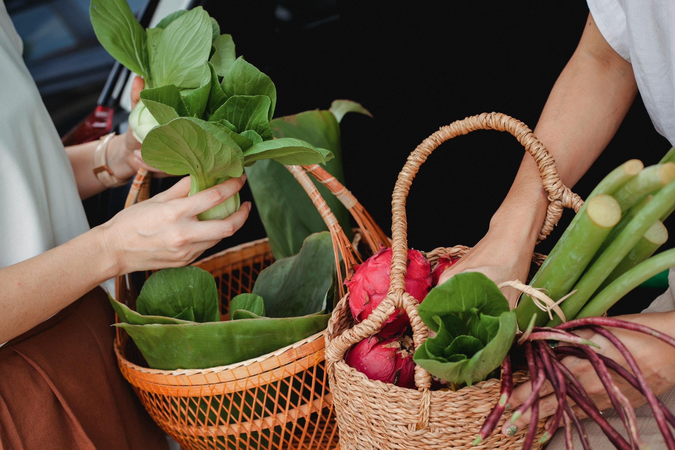 Community Supported Agriculture: A Field Guide for Producers and Consumers (Participation in Federal Programs)