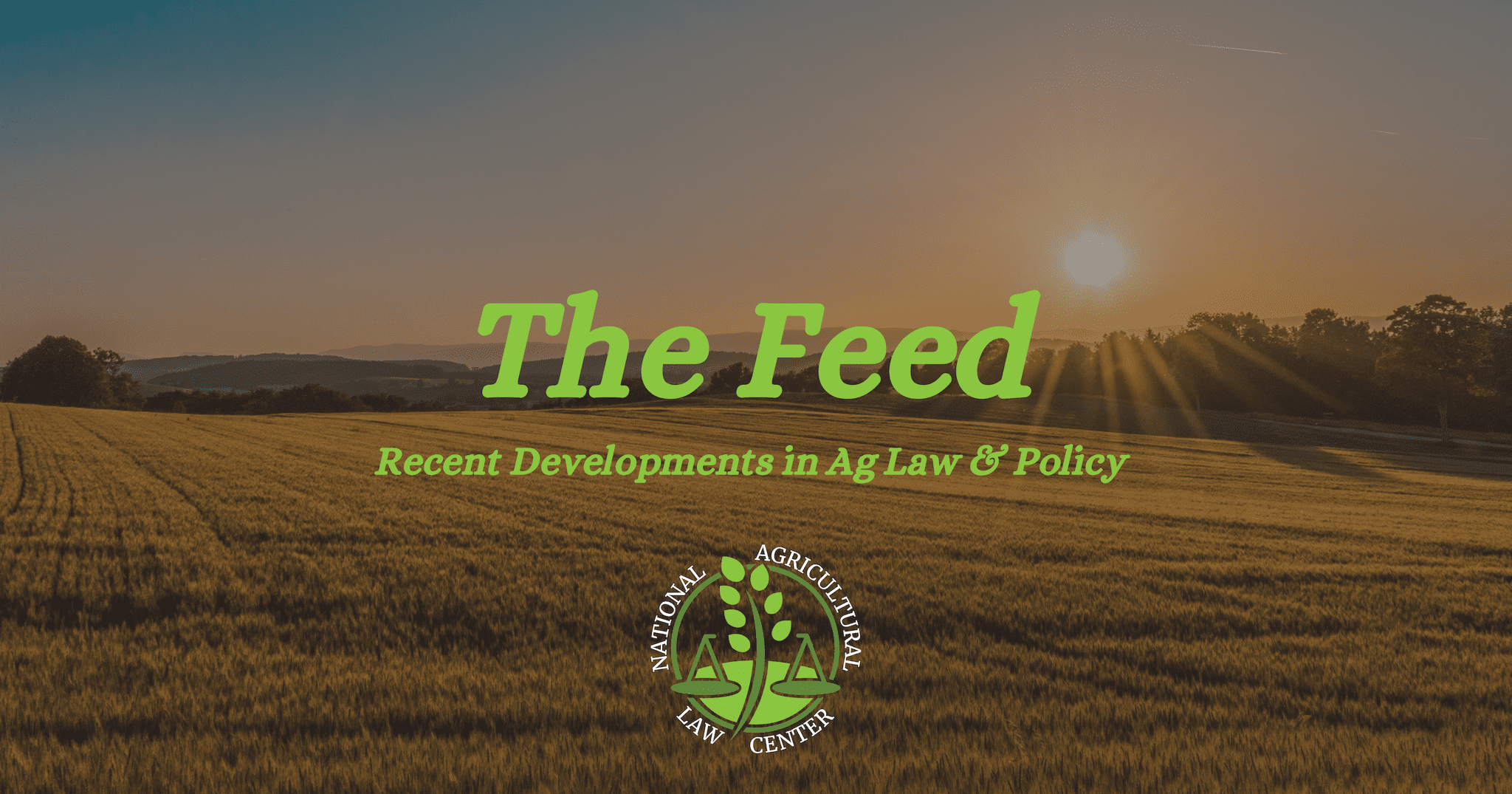The Feed: Vol. 4, Issue 16