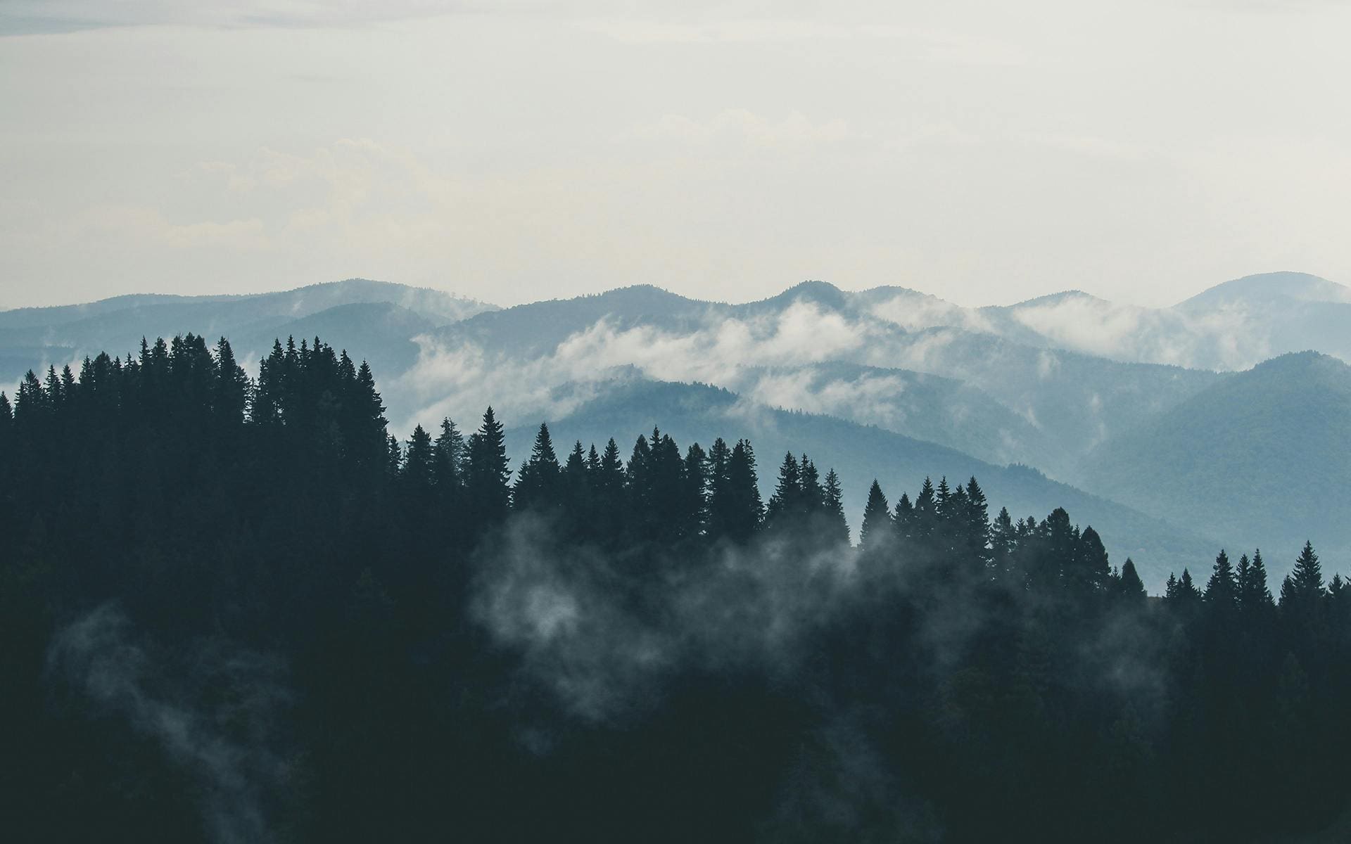Top Environmental Law Topics to Watch in 2026