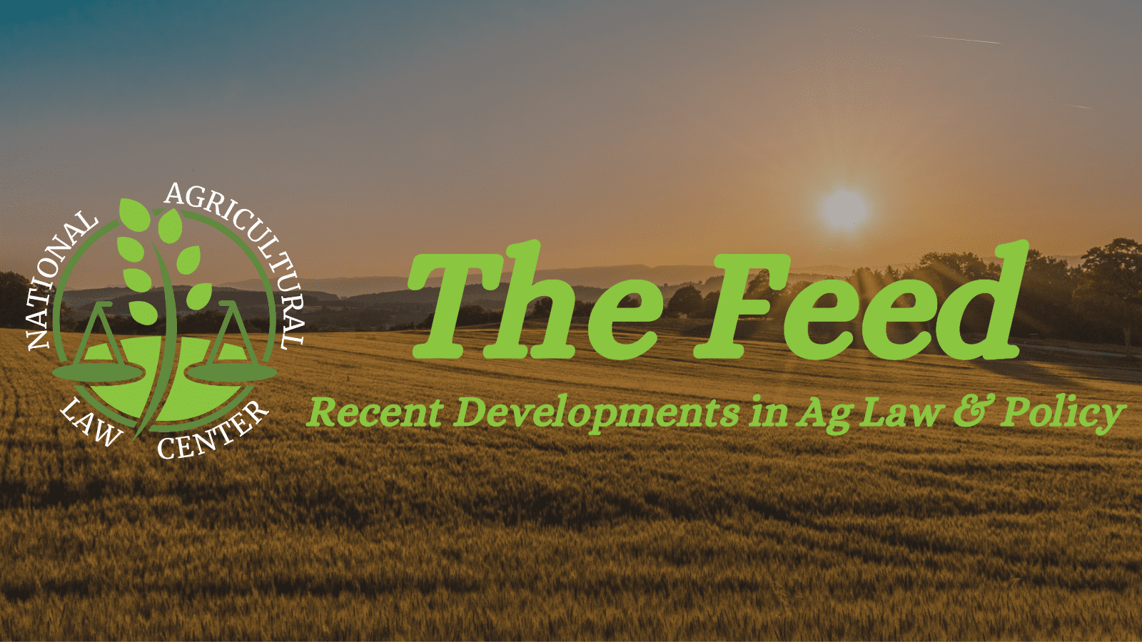 The Feed: Vol. 4, Issue 15
