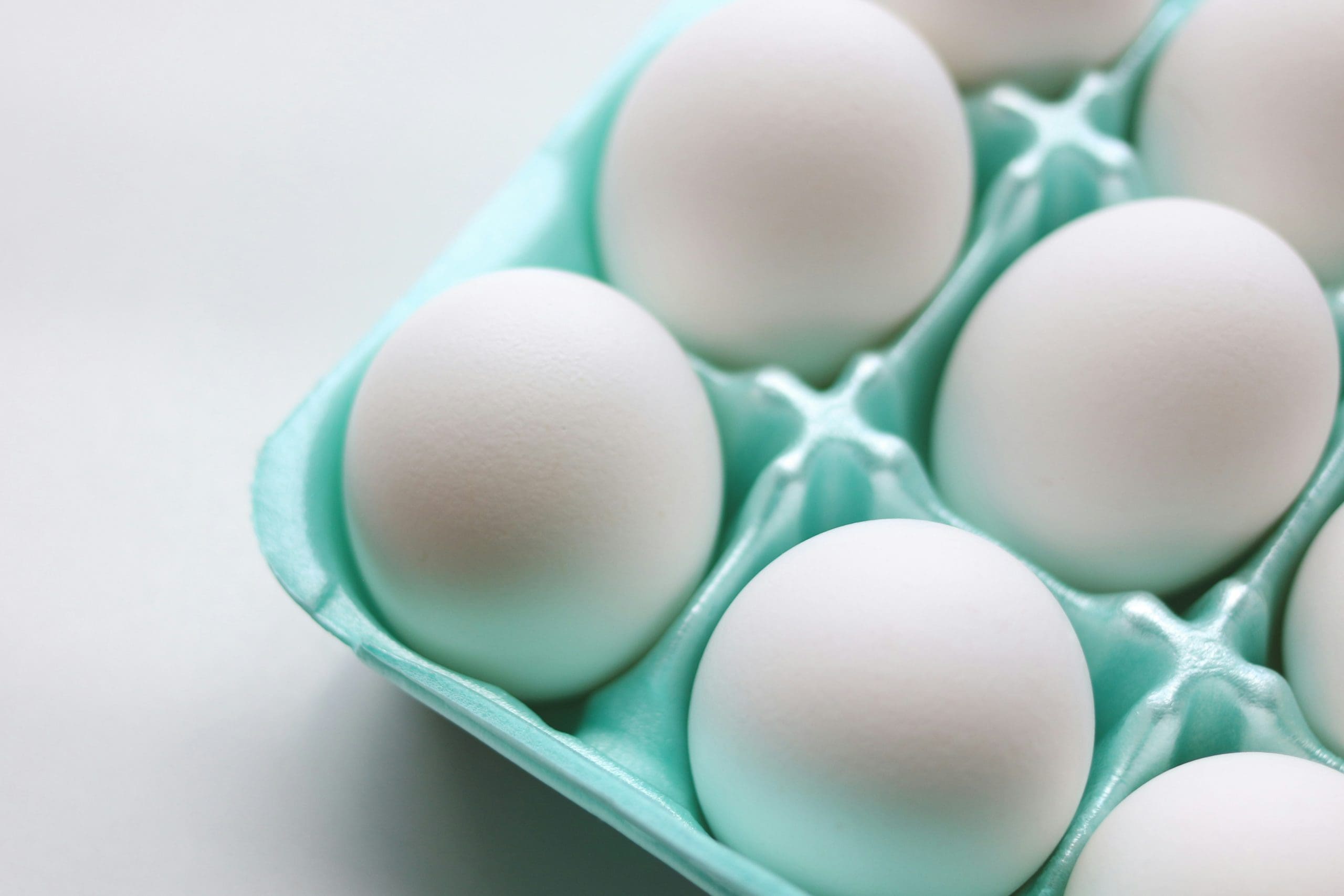 Food Foundations: Regulation of Eggs