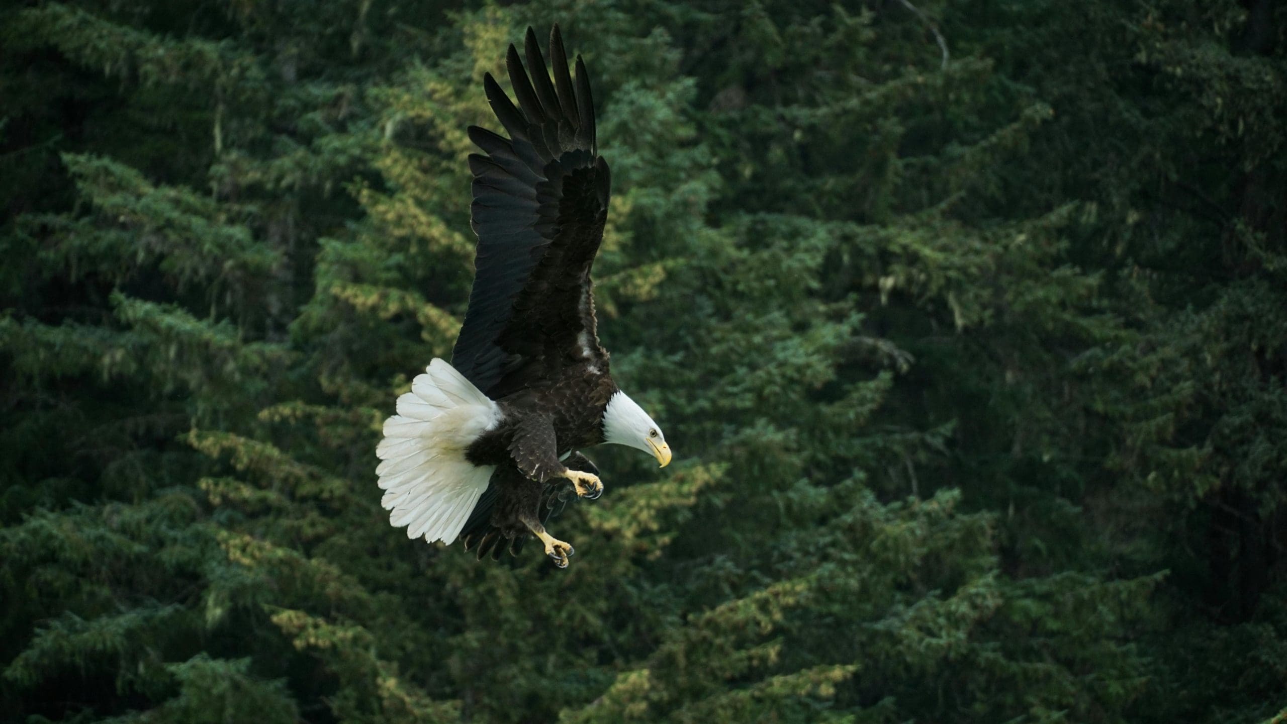 FWS & NMFS Propose New ESA Rules