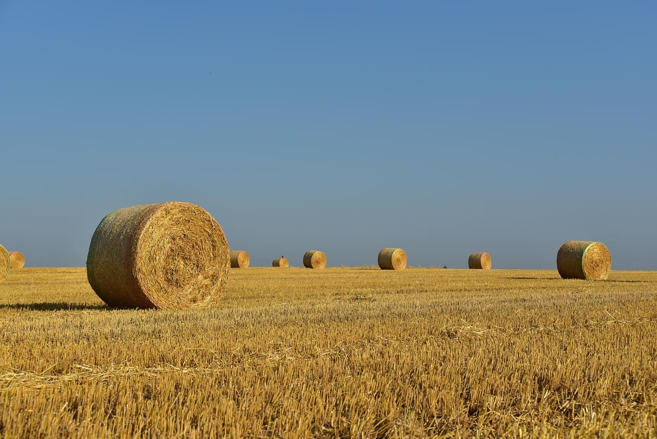 United Farm Workers Challenges H-2A Rule
