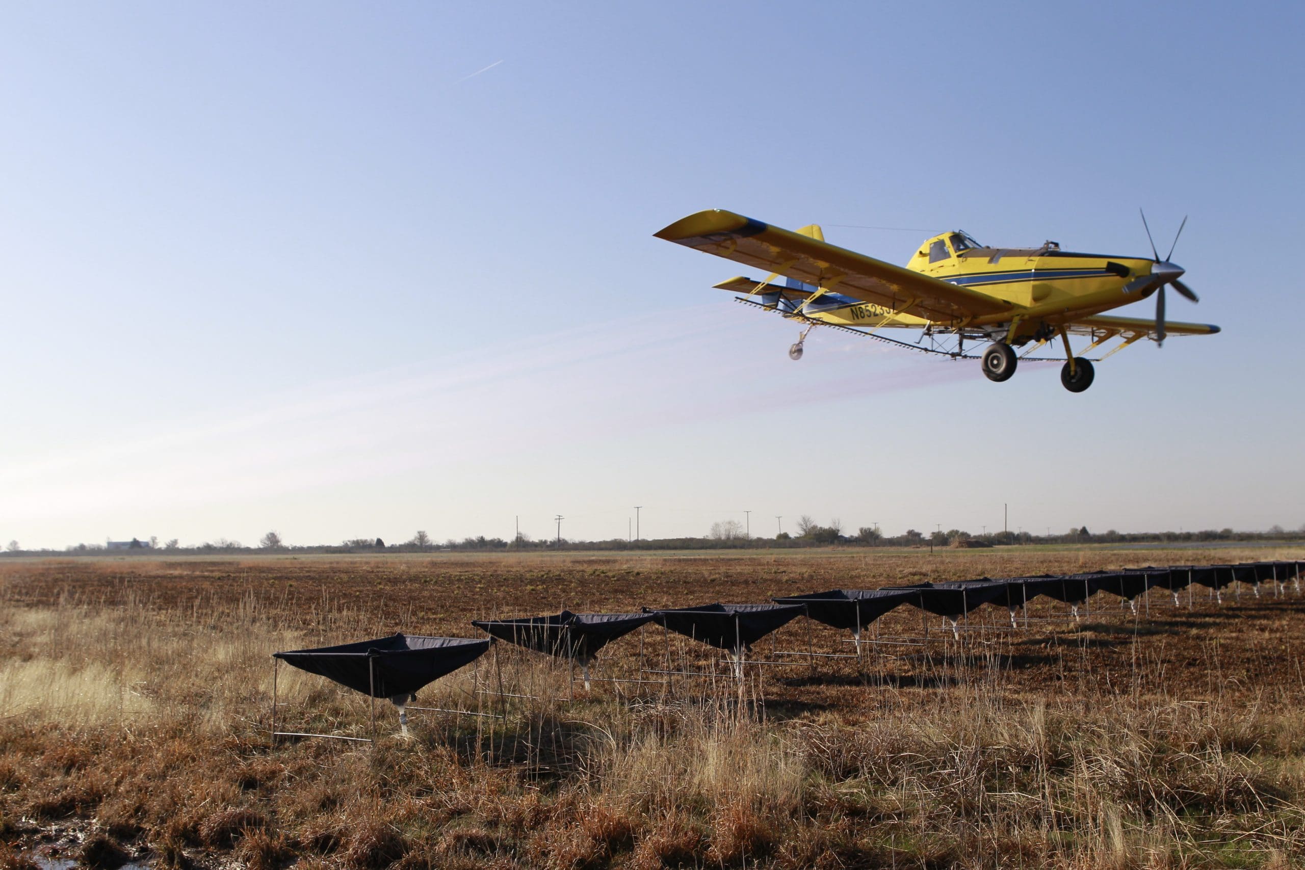 UADA article: EPA’s 2026 dicamba labels come with new restrictions