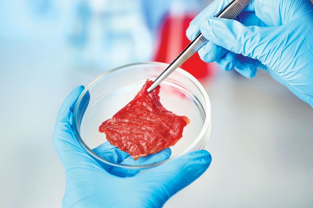 Eleventh Circuit takes up Florida’s Ban on Cell-Cultured Meat