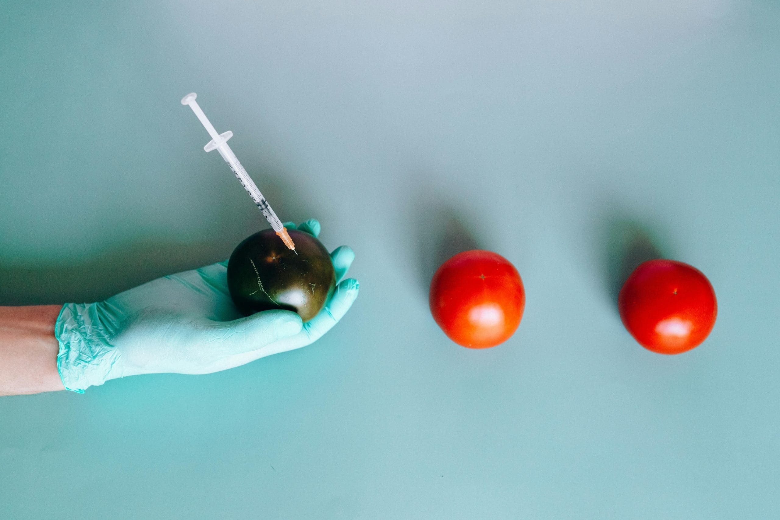 Food Foundations: Categories of Food Ingredients