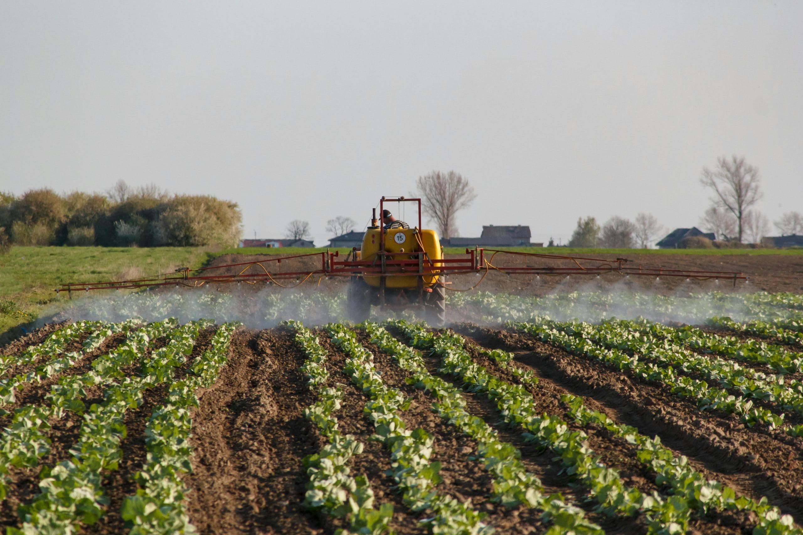EPA Announces Draft Fungicide Strategy