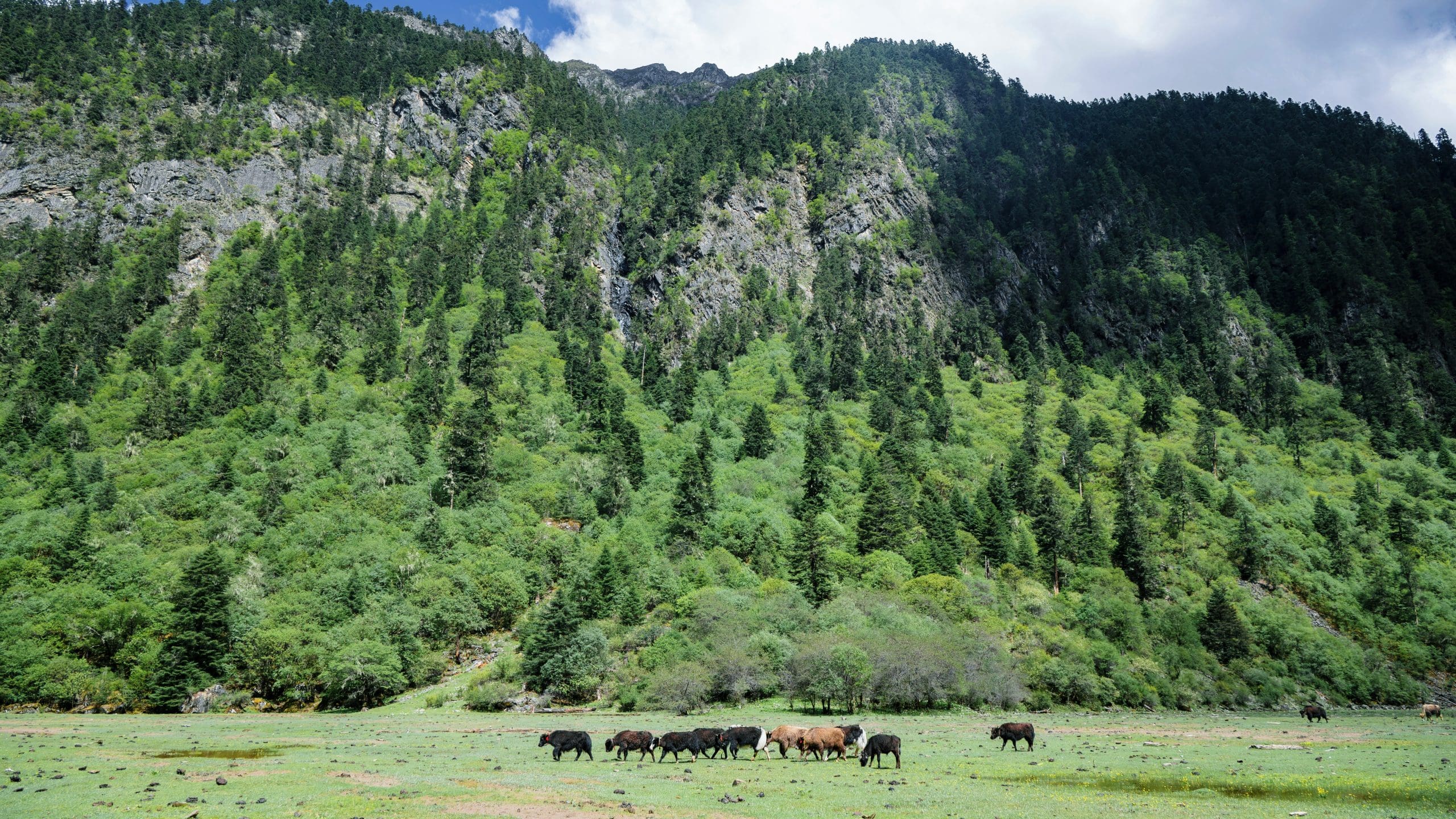 Lawsuit Challenges Joint USDA-DOI Grazing Action Plan