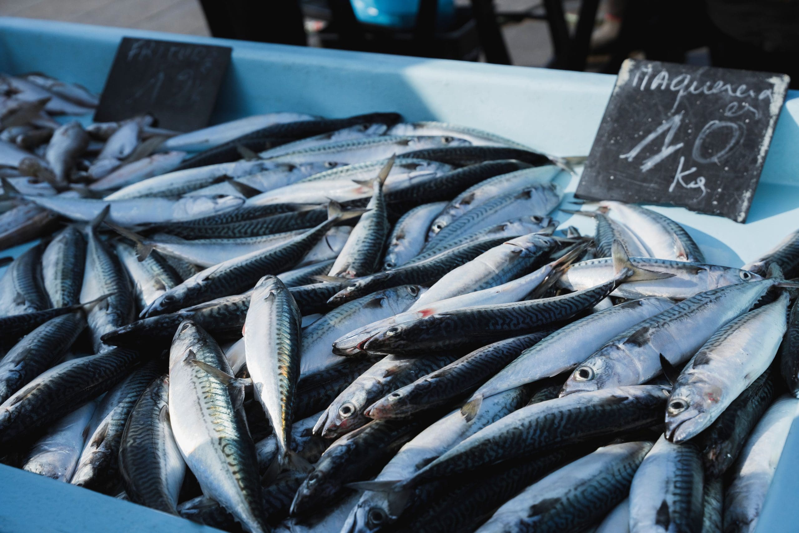 Food Foundations: Seafood Regulation